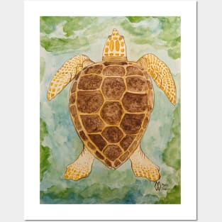 Loggerhead Sea Turtle Posters and Art